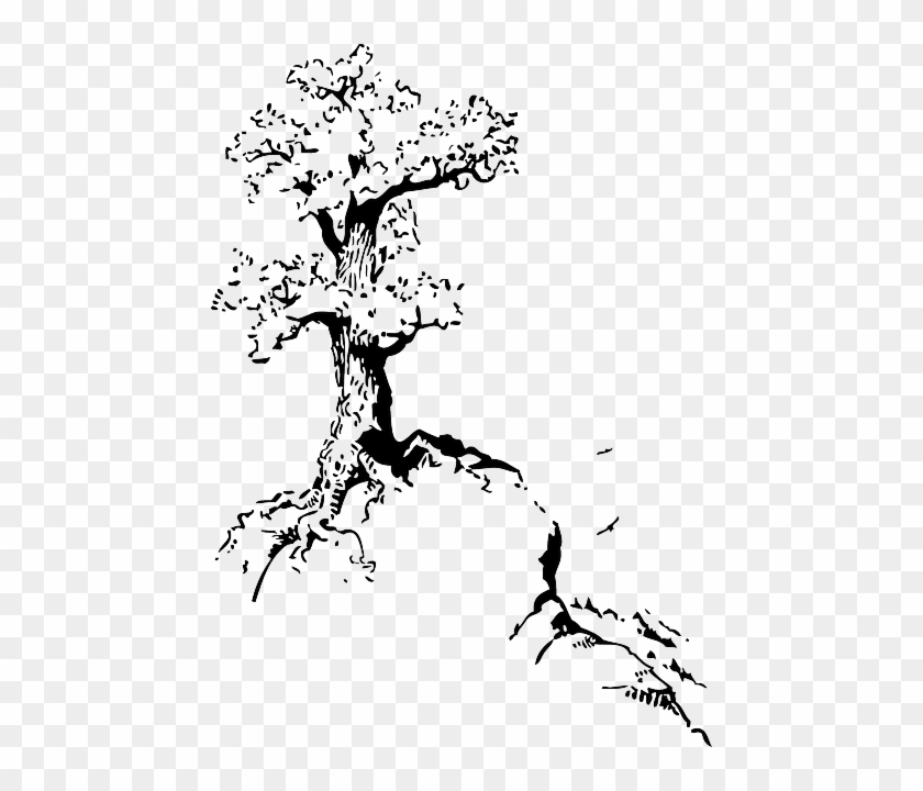840x720 top, outline, silhouette, tree, roots, white - Tree And Roots Drawing
