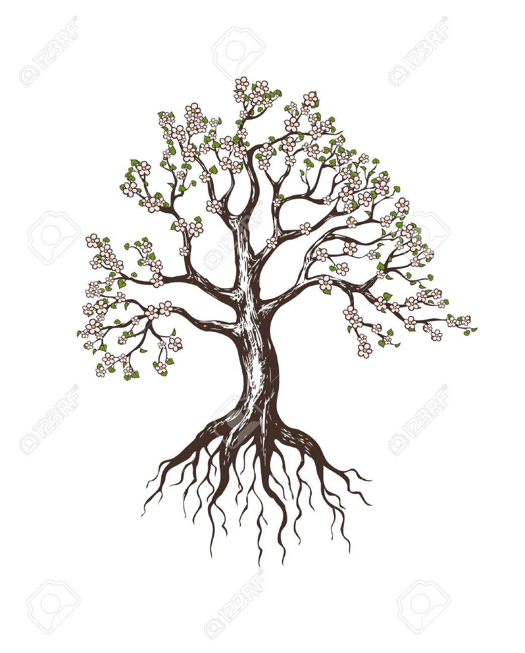 1044x1300 tree and roots drawing - Tree And Roots Drawing
