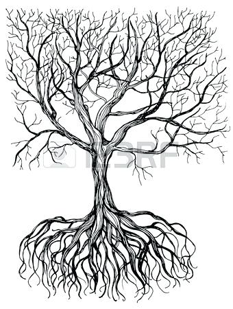 340x450 tree drawing with roots hand drawn tree with root on white - Tree And Roots Drawing