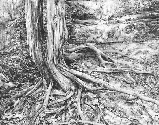 Tree And Roots Drawing at PaintingValley.com | Explore collection of ...