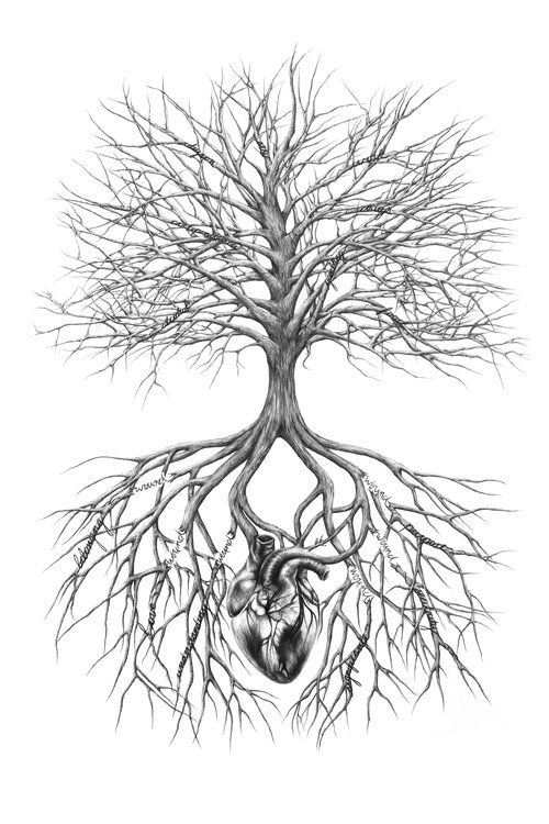 Tree And Roots Drawing at PaintingValley.com | Explore collection of ...