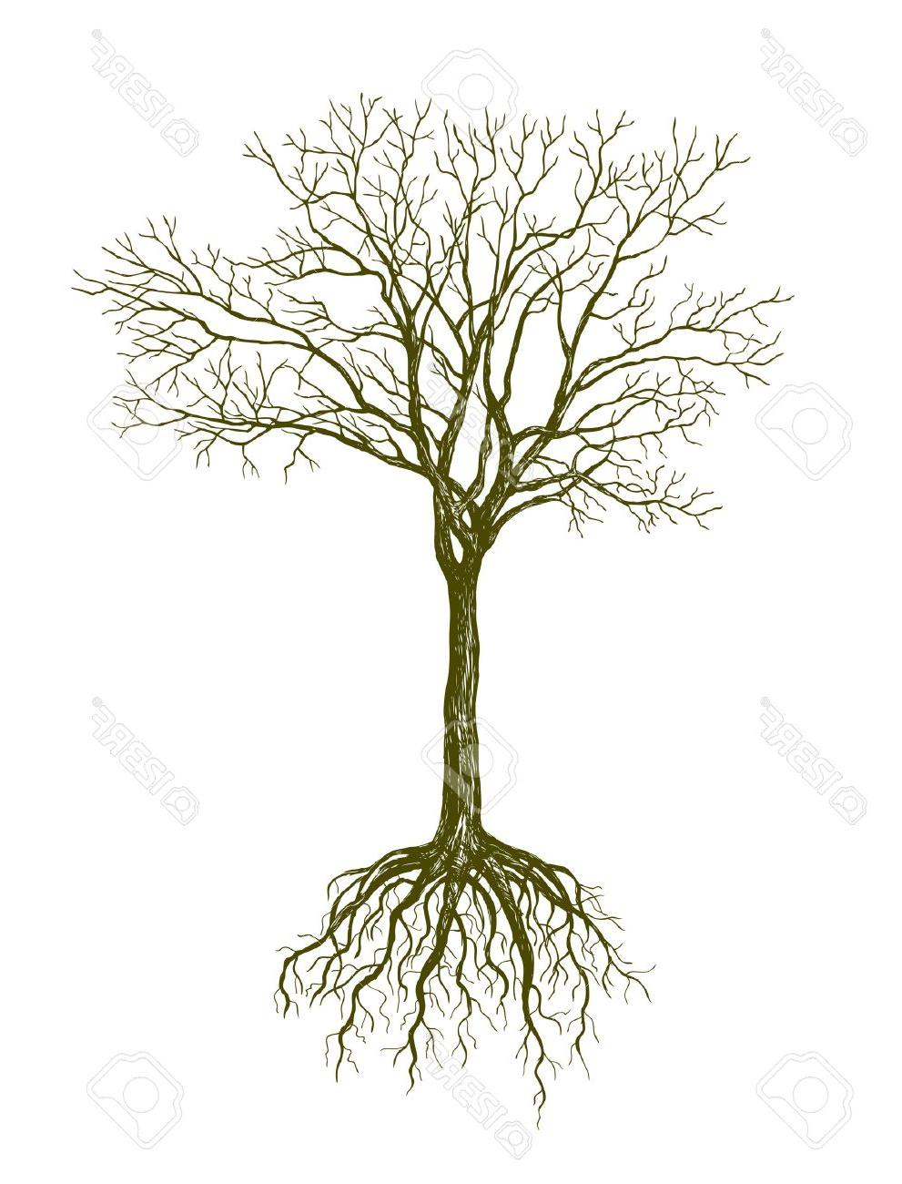 991x1300 best free trees with roots drawing images - Tree And Roots Drawing