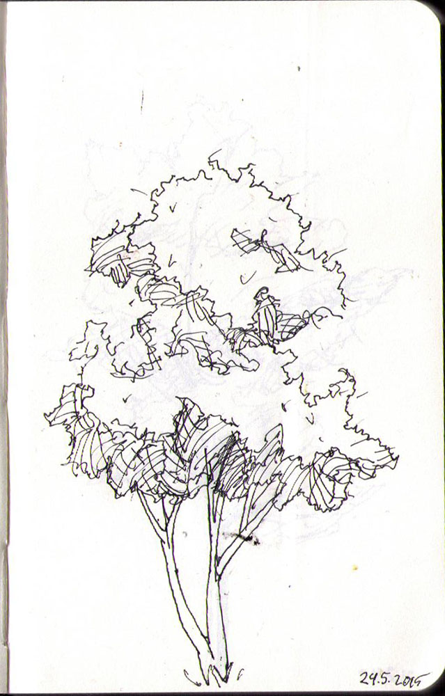 639x1000 Drawing Of A Dog In Ballpoint Pen One Drawing Daily - Tree Architecture Drawing