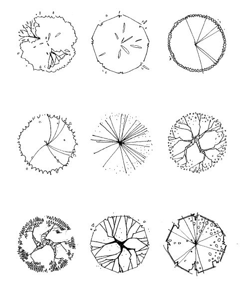 Tree Architecture Drawing at PaintingValley.com | Explore collection of ...