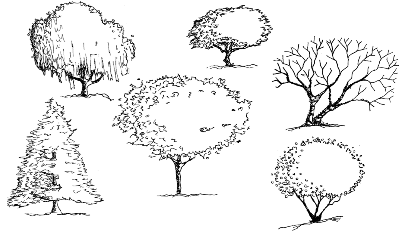 Tree Architecture Drawing at Explore collection of