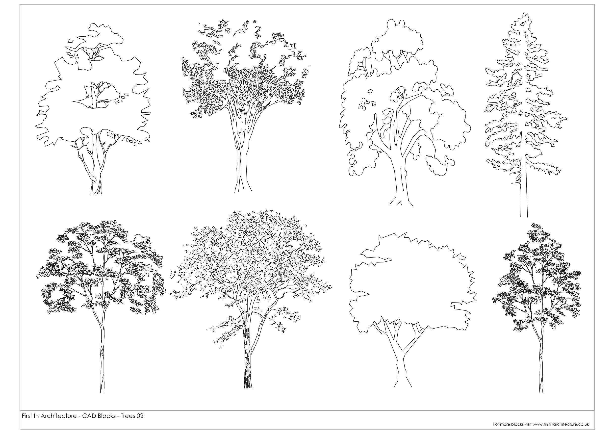 Tree Architecture Drawing at Explore collection of