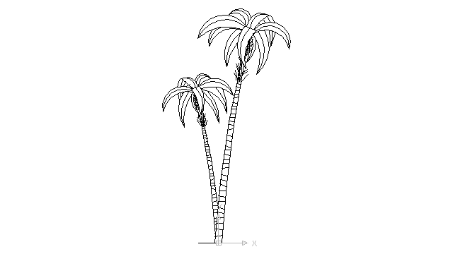 640x360 Autocad Drawing Two Palm Trees Coconuts Dwg - Tree Architecture Drawing