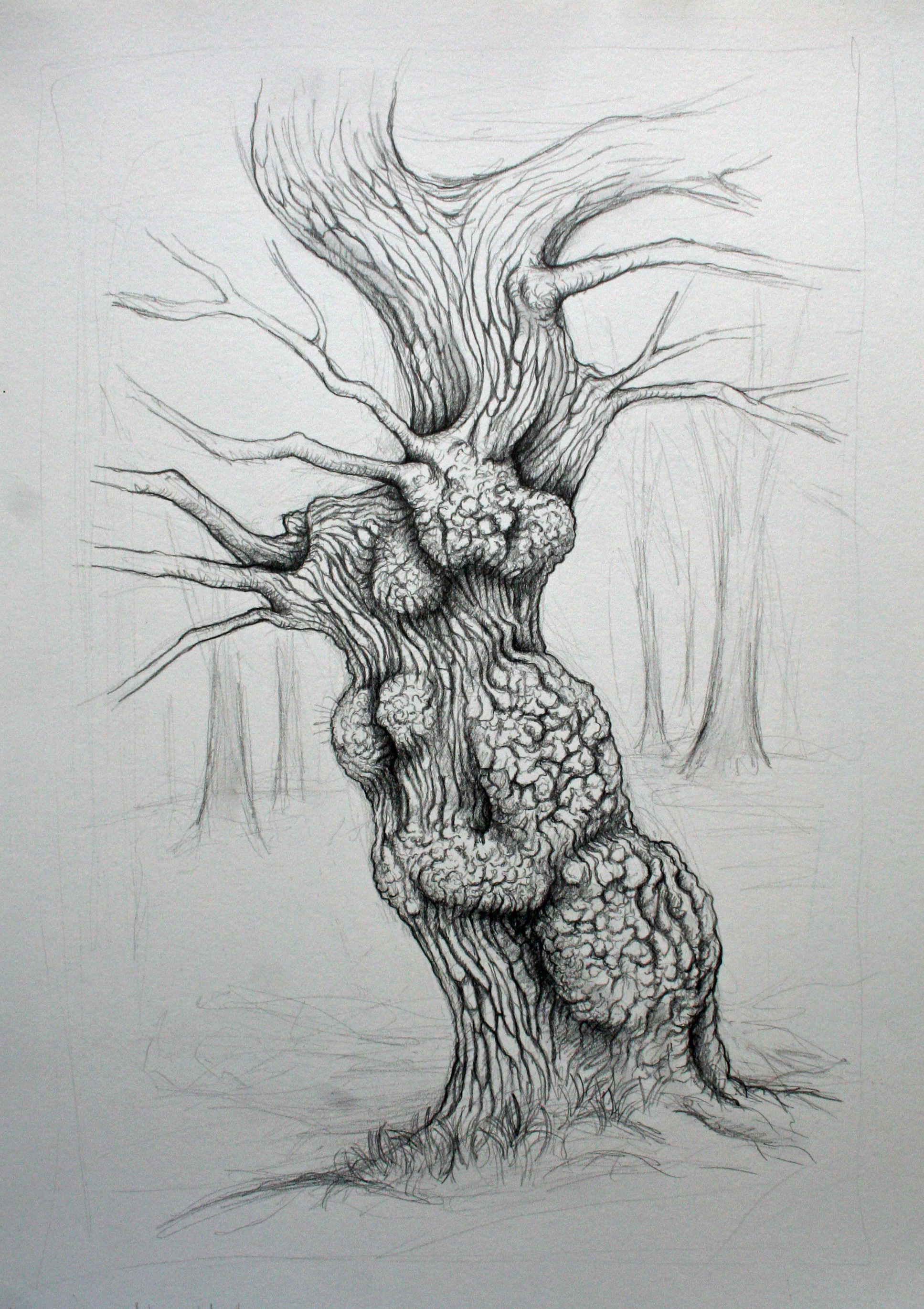 1935x2740 Tree Drawings - Tree Art Drawing