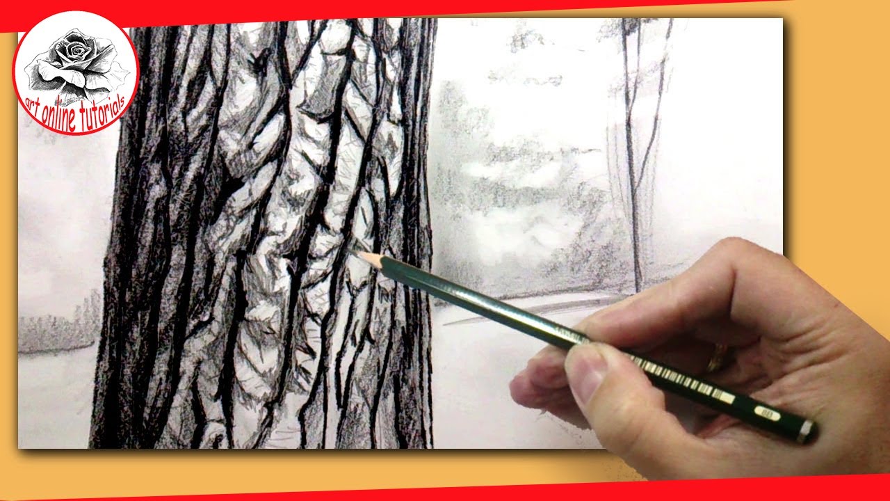 1280x720 How To Draw A Realistic Tree With Pencil How To Draw Textures - Tree Bark Drawing