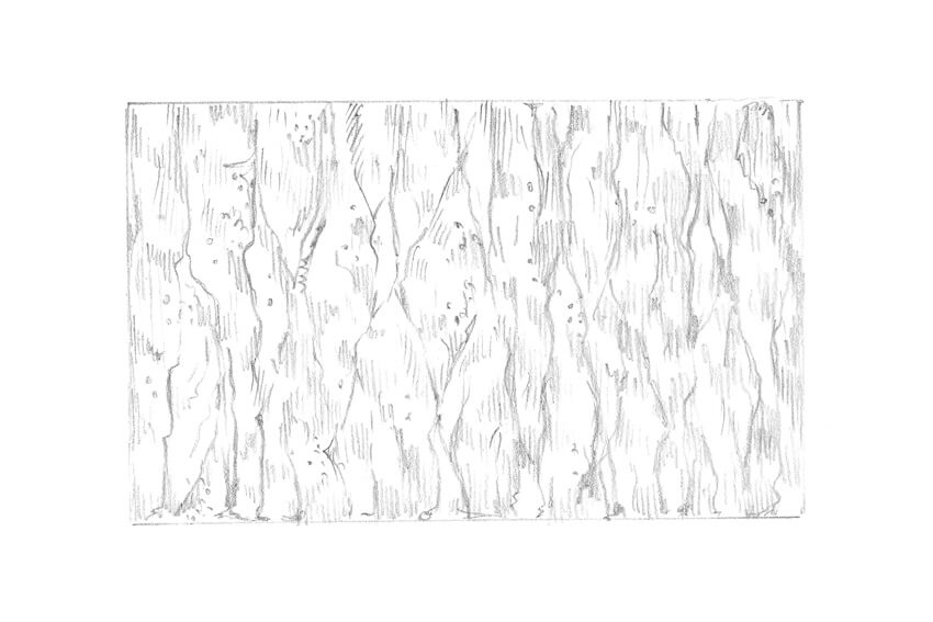 850x567 How To Draw A Tree - Tree Bark Drawing