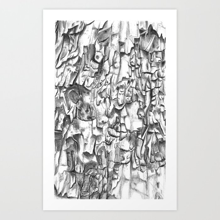 700x700 Tree Bark Texture Drawing Art Print - Tree Bark Drawing