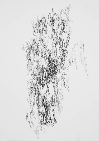 375x534 Tree Bark And Insects Drawing - Tree Bark Drawing