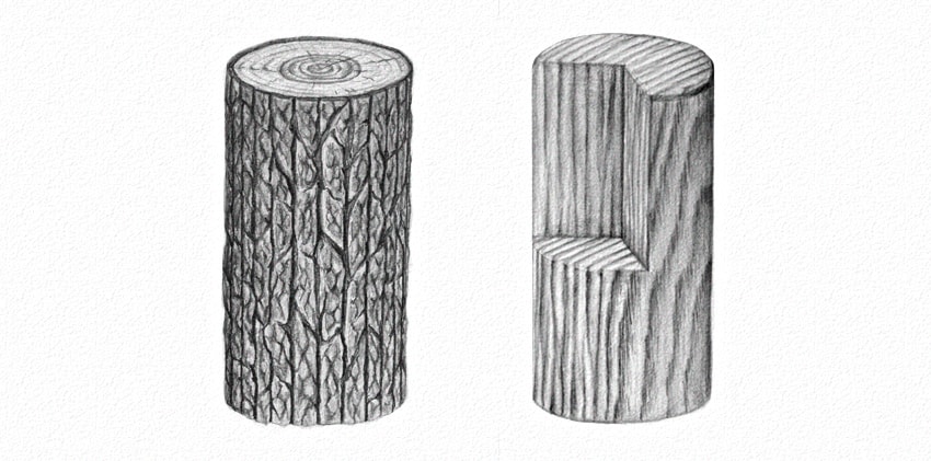 850x421 How To Draw Wood - Tree Bark Texture Drawing