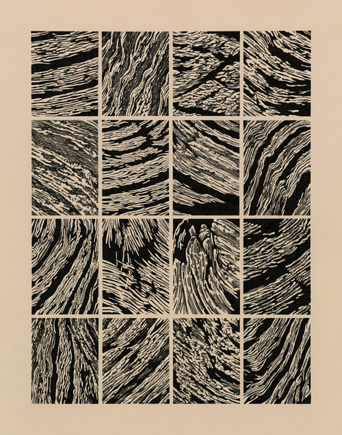 500x636 Natural Textures Art - Tree Bark Texture Drawing