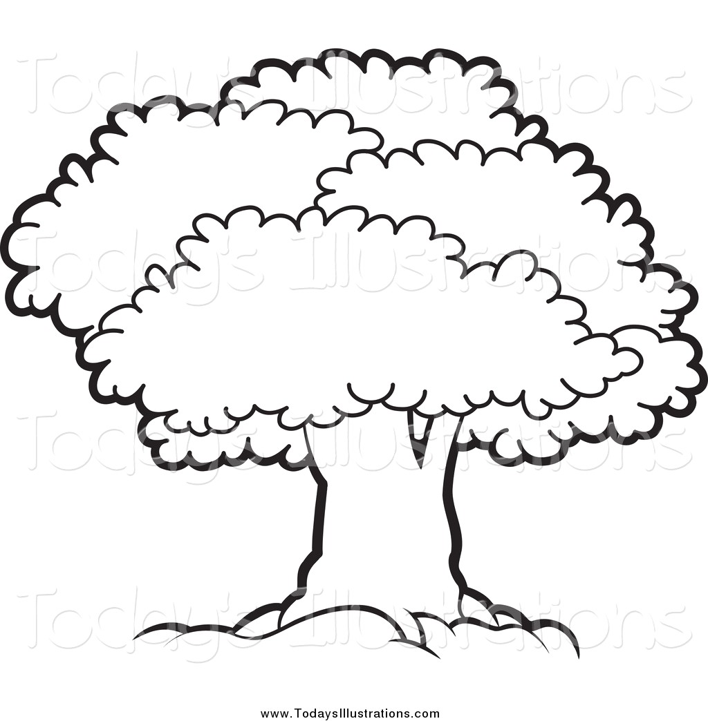 1024x1044 Pictures Black And White Clipart Tree - Tree Black And White Drawing