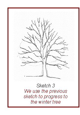 Tree Branch Drawing at PaintingValley.com | Explore collection of Tree