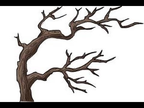 480x360 how to draw tree branches - Tree Branch Drawing