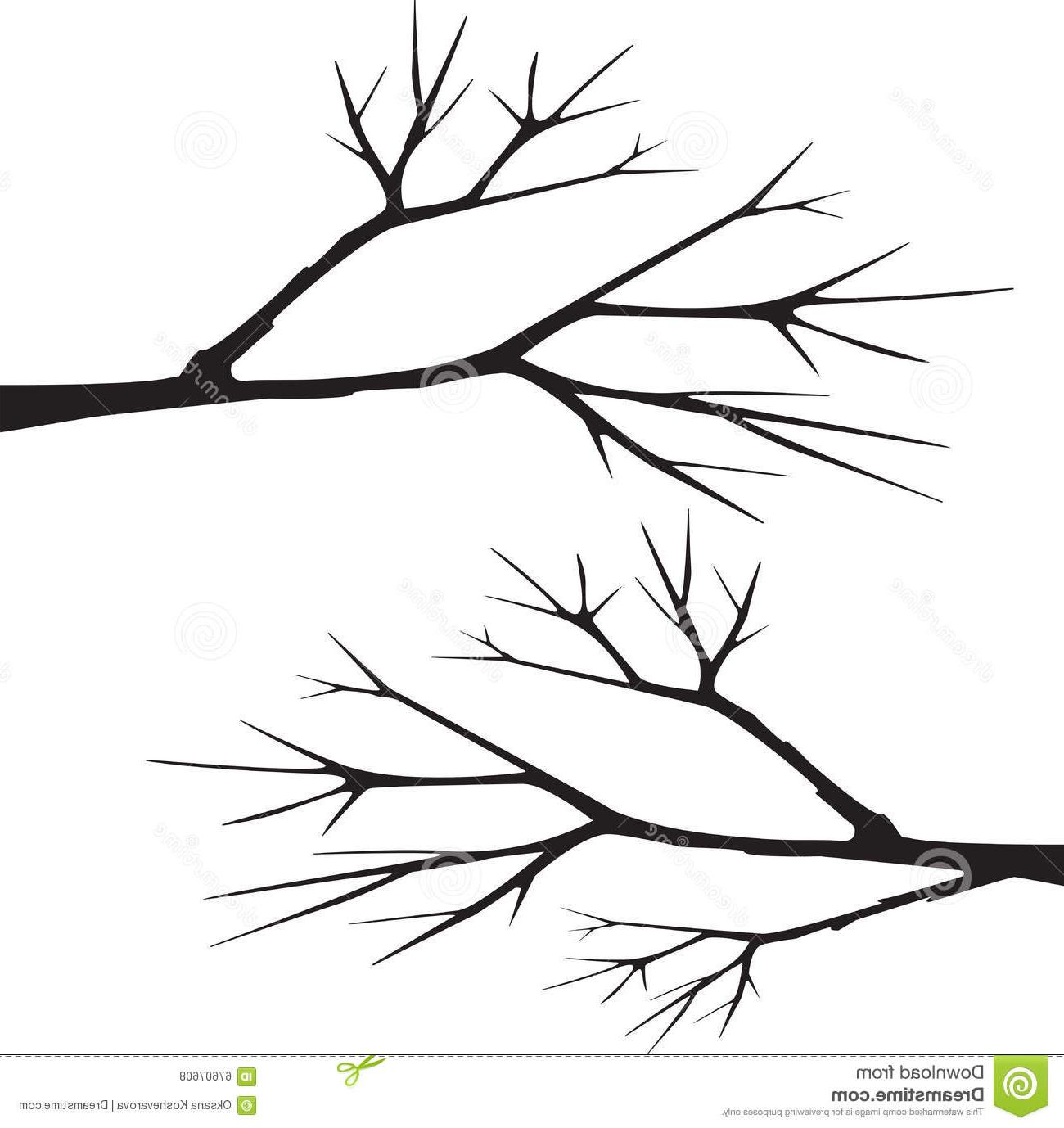 Tree Branch Drawing At Paintingvalley Com Explore Collection Of Tree Branch Drawing