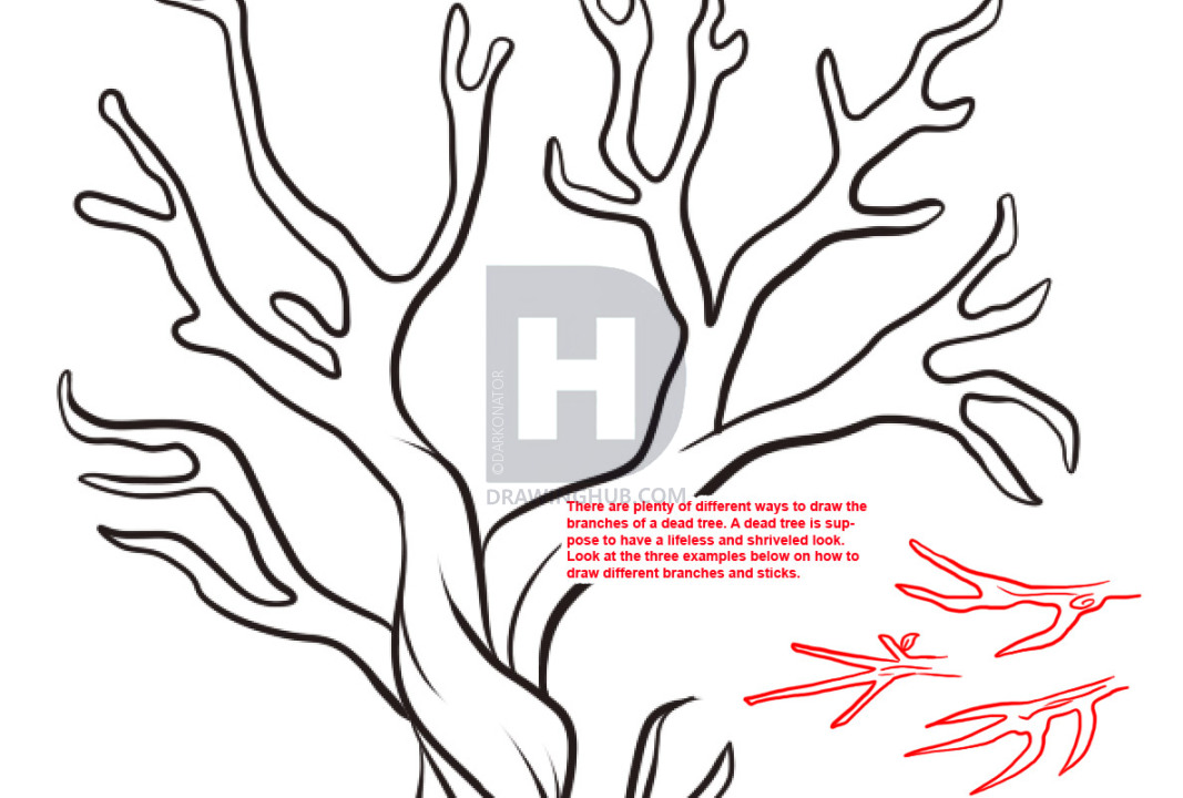1067x720 How To Draw A Dead Tree, Step - Tree Branch Drawing