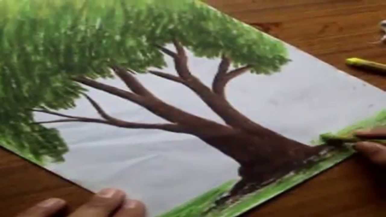 1280x720 How To Draw Trees With Oil Pastel Color - Tree Color Drawing