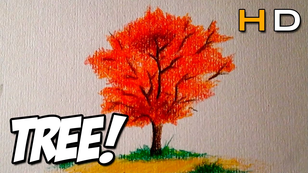 1280x720 How To Draw A Tree With Colored Pencil Step - Tree Color Drawing