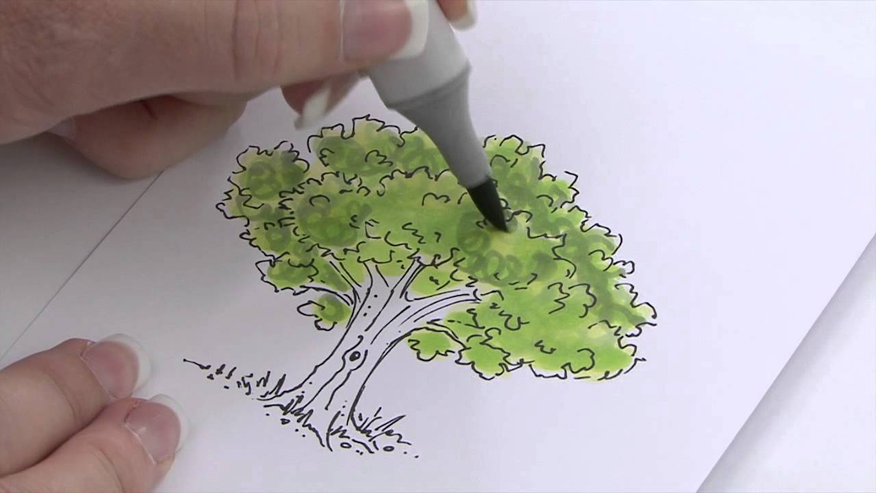 1280x720 how to use copic markers to color foliage leaves an annie - Tree Color Drawing