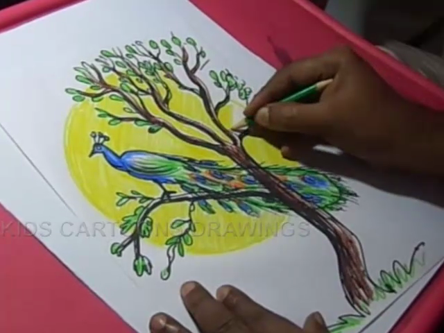 640x480 Kids Cartoon Drawings How To Draw Peacock With Tree Color Drawing - Tree Color Drawing