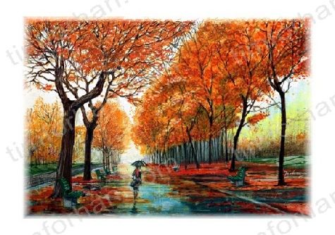 475x333 Riverwalk - Tree Color Drawing