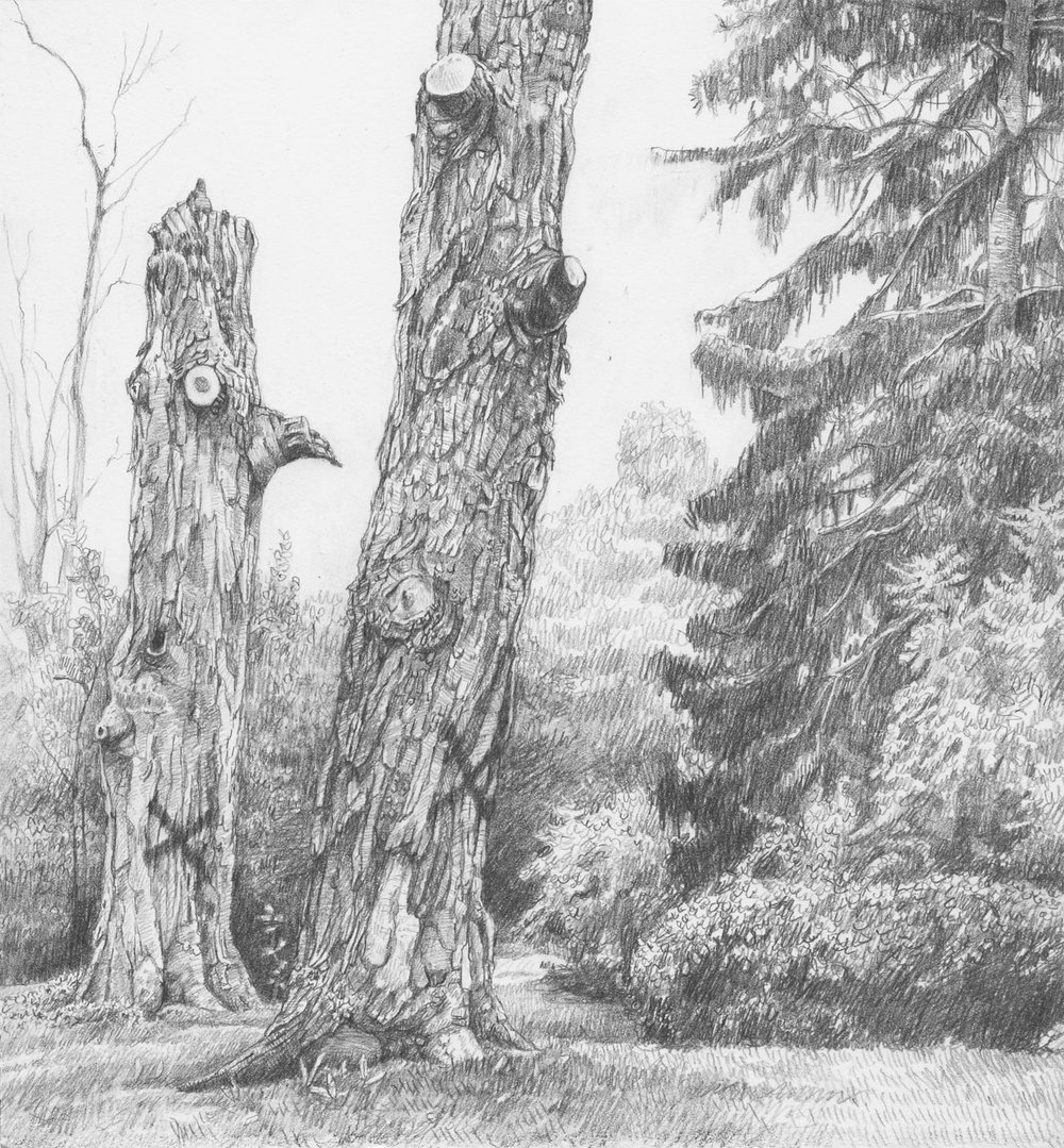 1000x1079 amy talluto drawings amy talluto - Tree Cutting Drawing