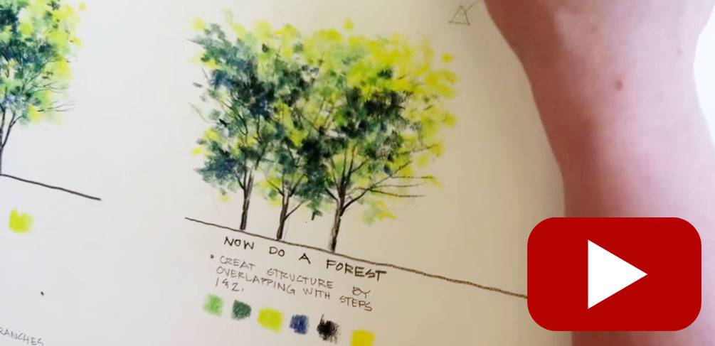 1005x487 Top Youtube Tutorials For Drawing Trees - Tree Design Drawing