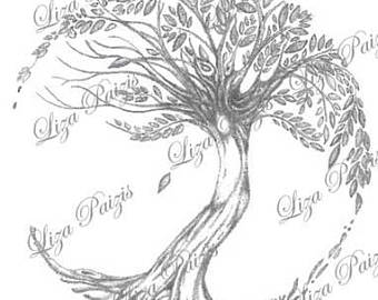 340x270 Tree Of Life Tattoo Design - Tree Design Drawing