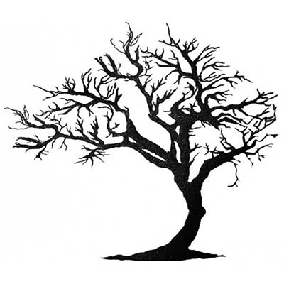 400x400 Tree Design - Tree Design Drawing