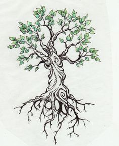 236x290 apple tree tattoo in tree sketches, tree art, tattoos - Tree Design Drawing