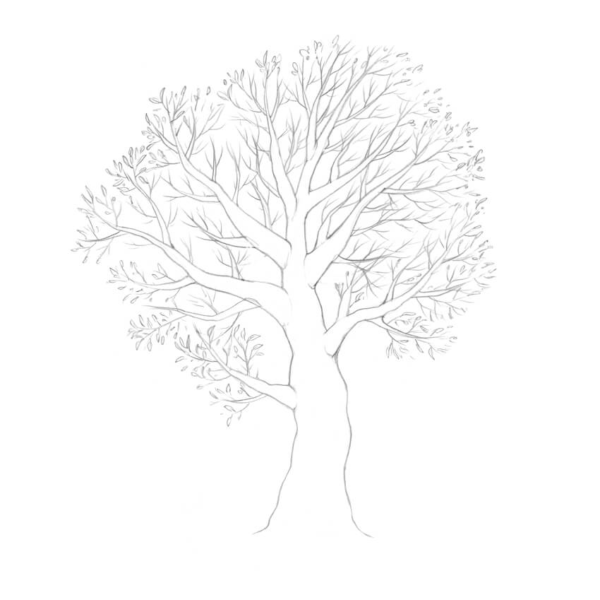 850x849 How To Draw A Tree - Tree Drawing