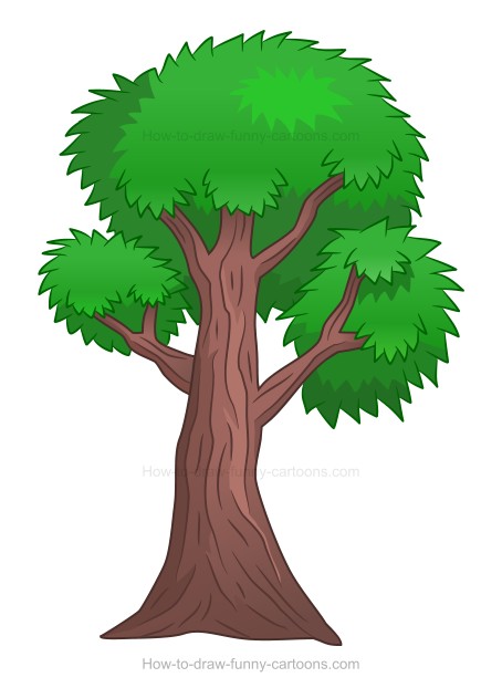 454x622 How To Draw A Cartoon Tree - Tree Drawing