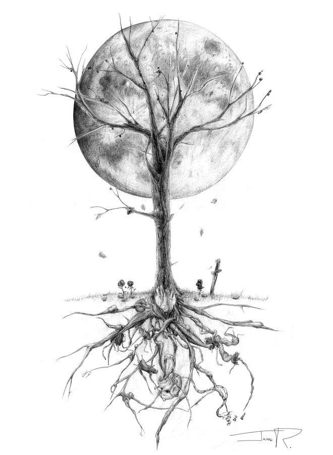 660x902 Tree Drawing - Tree Drawing