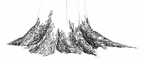 500x223 Tree Pen And Ink Drawing St - Tree Drawing