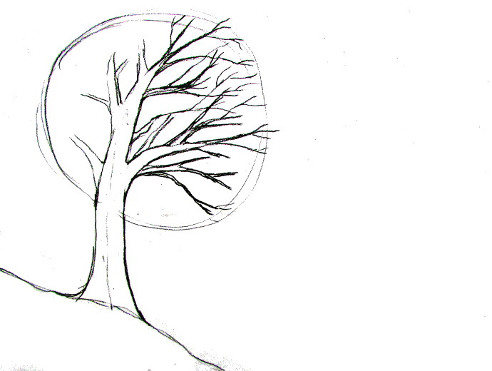 690x520 How To Draw A Tree - Tree Drawing Art
