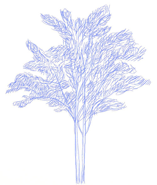 500x588 How To Draw A Tree - Tree Drawing Art