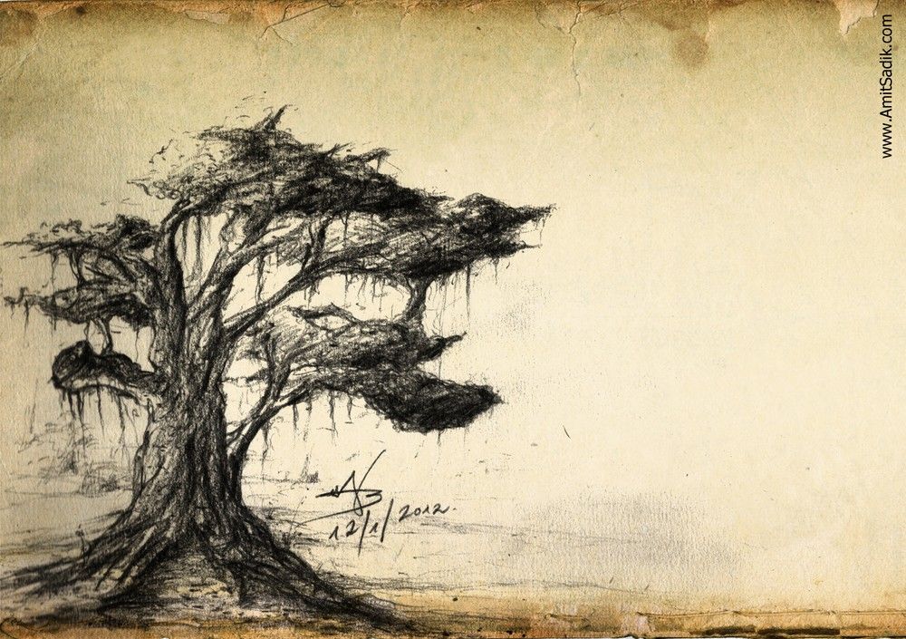 1000x705 Tree Drawings - Tree Drawing Art