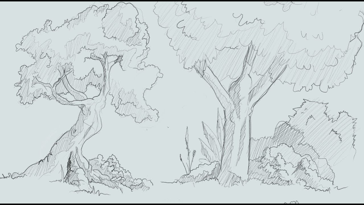 1280x720 How To Draw Trees And Bushes Comic Book Style - Tree Drawing Book