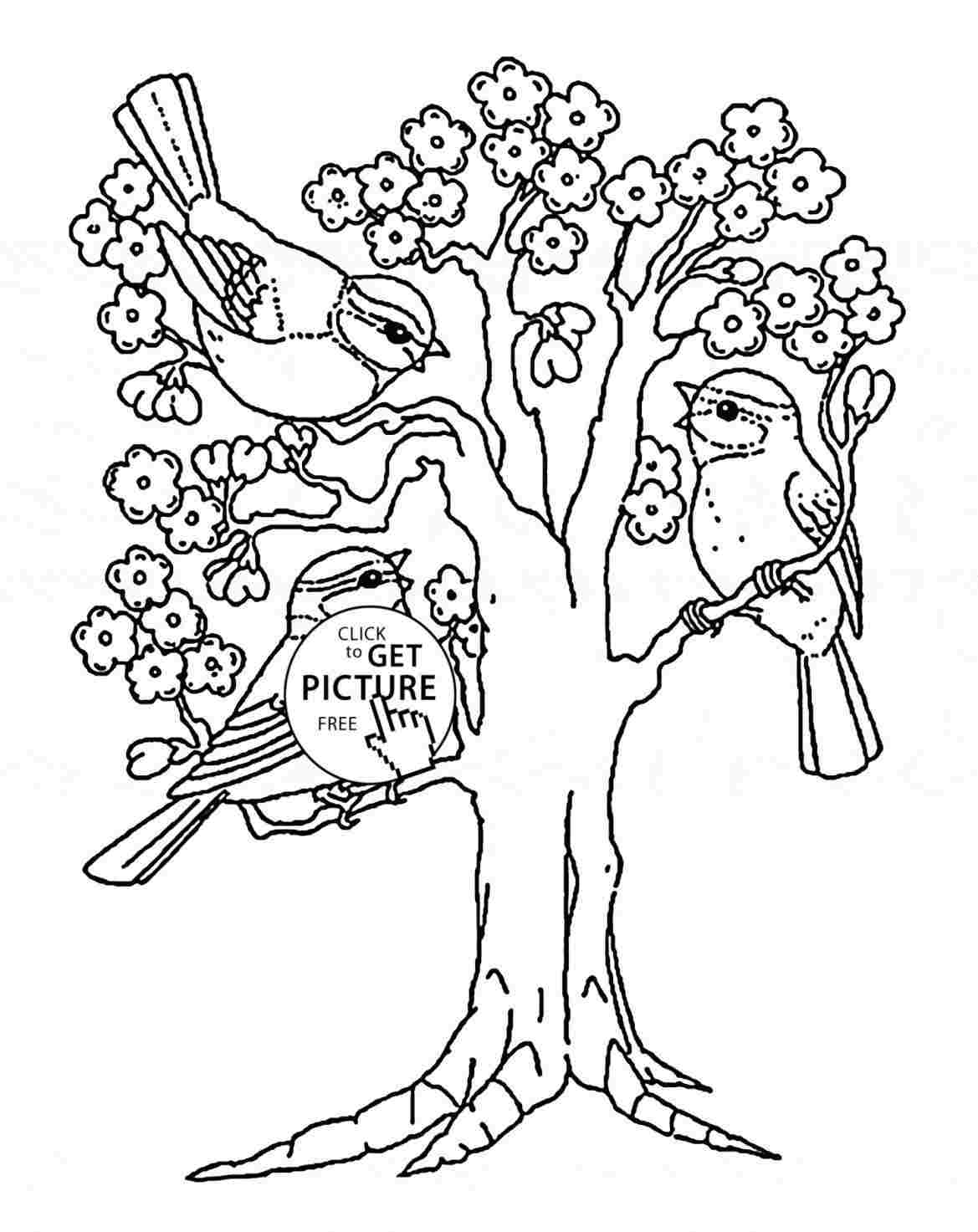 1169x1473 Spring Tree Drawing - Tree Drawing Book