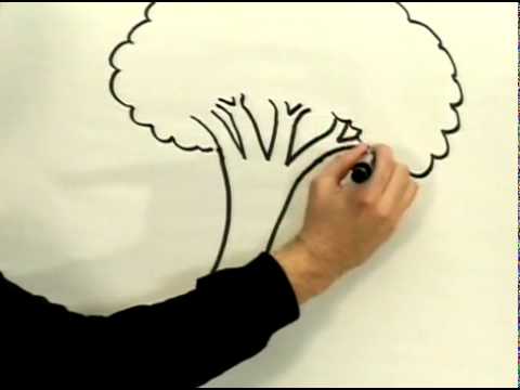 480x360 How To Draw A Cartoon Tree Cartoon - Tree Drawing Cartoon