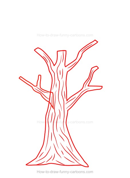 454x622 How To Draw A Cartoon Tree - Tree Drawing Cartoon