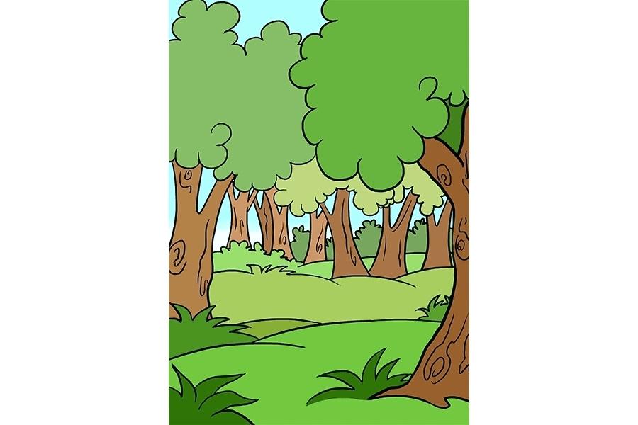 900x600 Rainforest Trees Drawings Realistic Branching Simple Tree Drawing - Tree Drawing Cartoon
