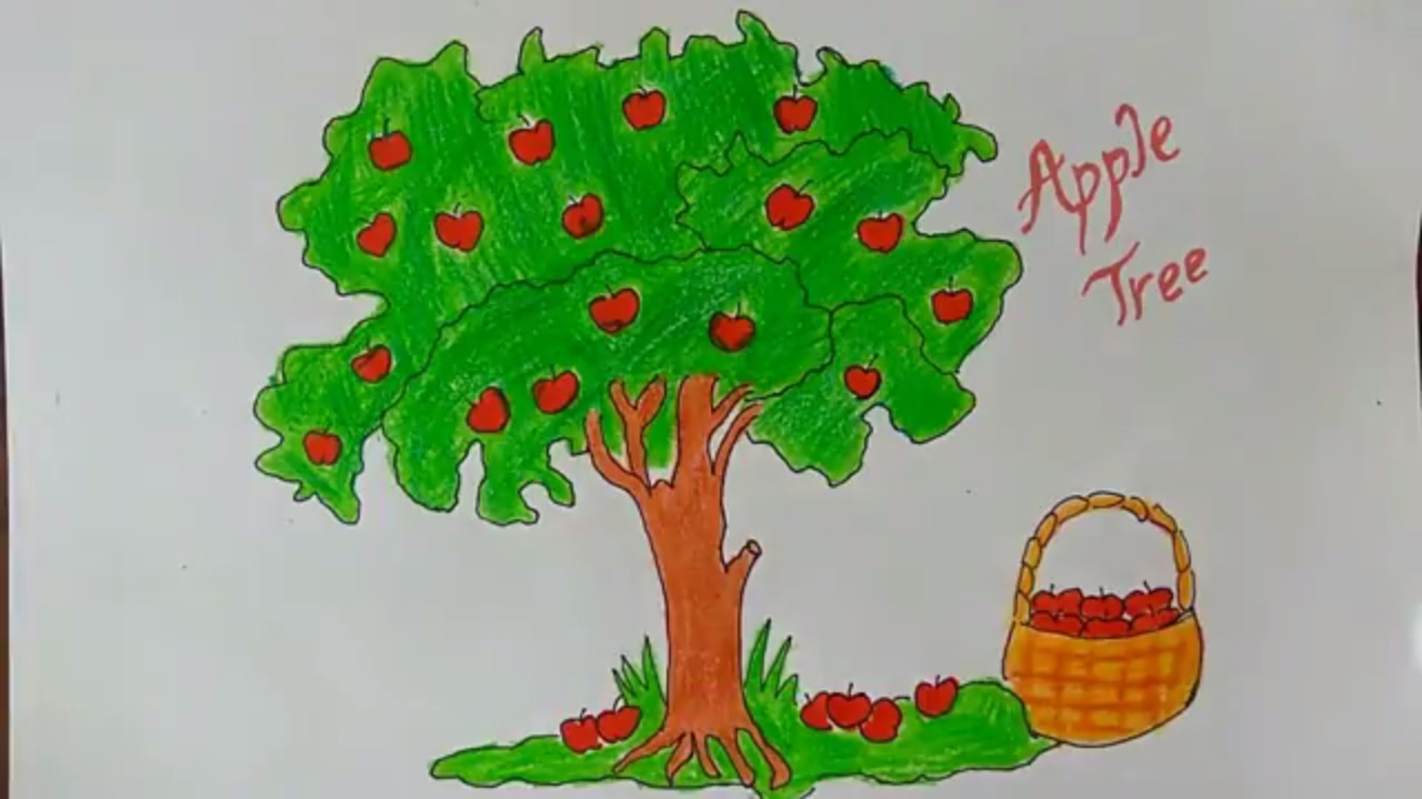 1280x720 how to draw an apple tree, how to draw a cartoon apple tree, how - Tree Drawing Cartoon