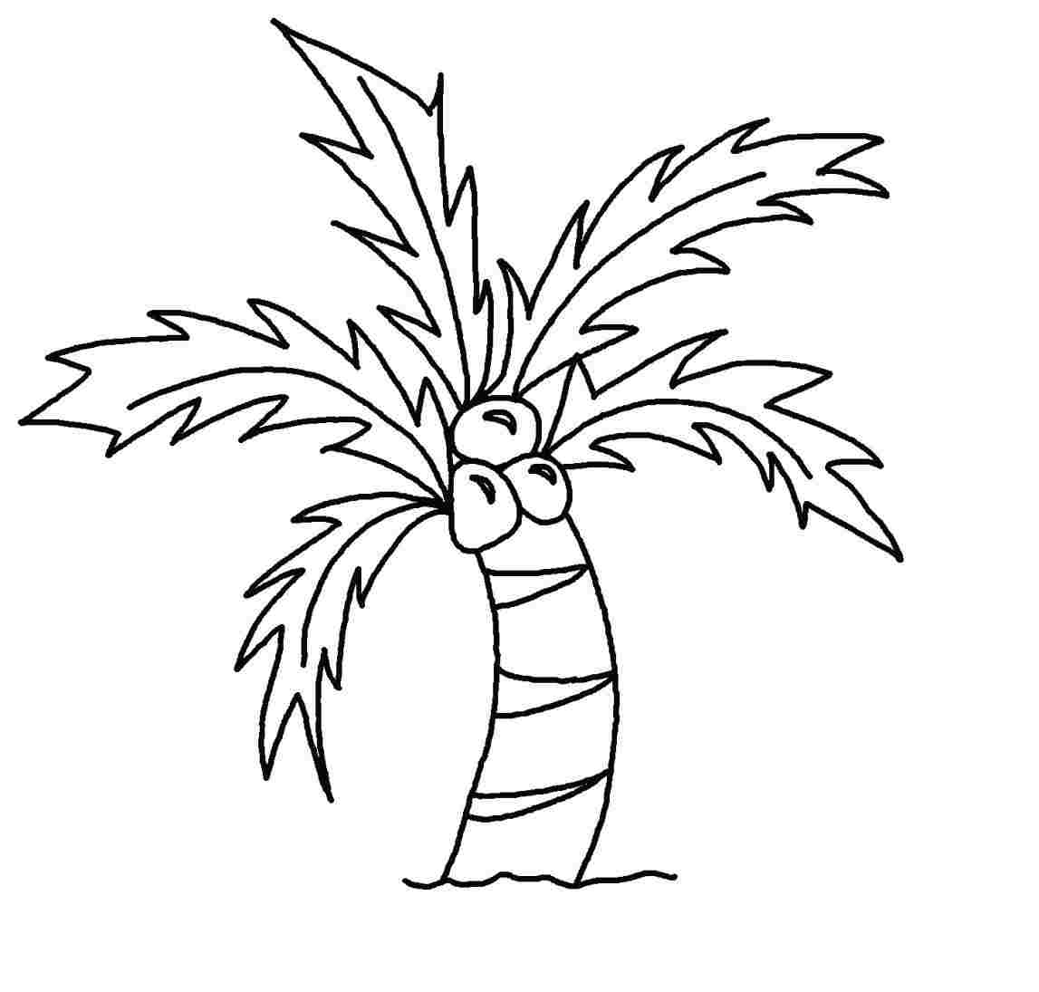 1147x1095 Easy Palm Tree Drawing - Tree Drawing Clipart