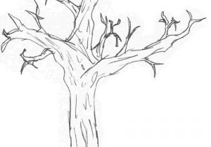 300x210 Palm Tree Drawing Easy - Tree Drawing Easy