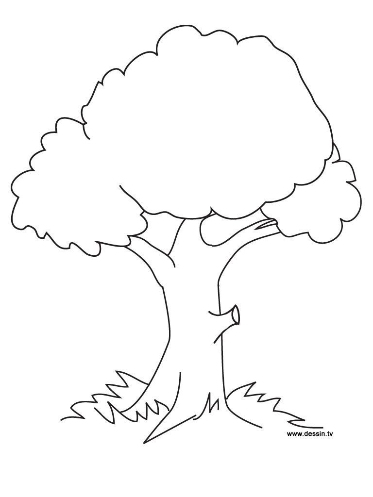 768x1024 Coloring Pages Trees - Tree Drawing For Kids