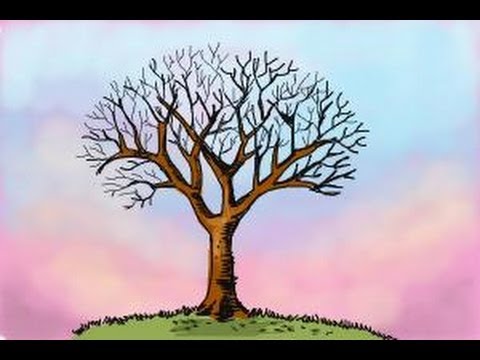 480x360 How To Draw A Tree Without Leaves - Tree Drawing No Leaves